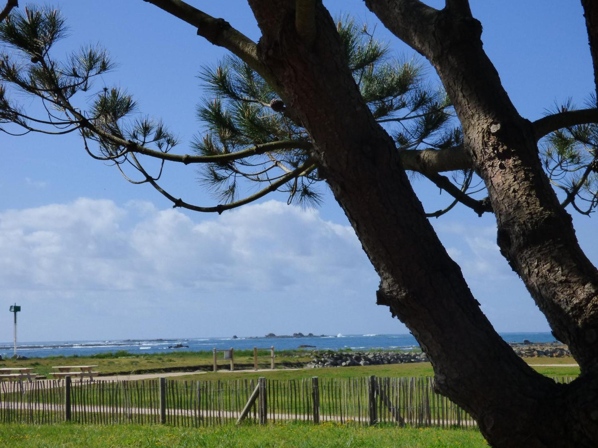 Appart-Studios Vue Mer Panoramique St Guenole Cote Mer เปนมาร์กัช ห้อง รูปภาพ